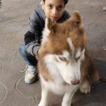 Moaaz Reda